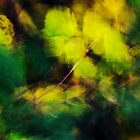 «Amarillo y verde soplado por el viento» de Patrick Morand