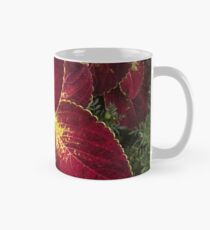 Flaming Coleus Tasse (Standard)