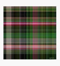 Pink Roses in Anzures 5 Plaid 1 Photographic Print