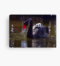 warm up Canvas Print