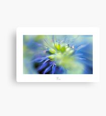 Colour Burst Canvas Print