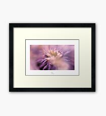 Colour Burst Framed Print