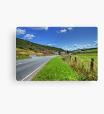 Scottish Scenery Canvas Print