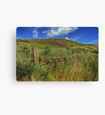 Scottish Scenery Canvas Print