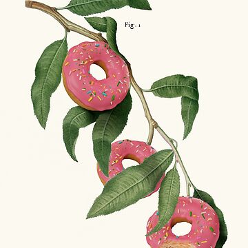 Artwork thumbnail, Donut Plant by JonasLoose
