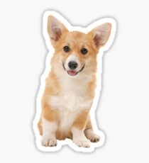 Corgi Sticker