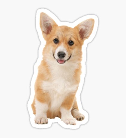 Dog Stickers | Redbubble