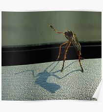 He Throws A Long Shadow Poster