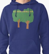 Algernon Cadwallader Pullover Hoodie