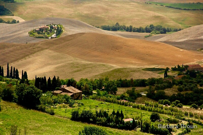 "Hills of Tuscany" by Barbara Brown | Redbubble