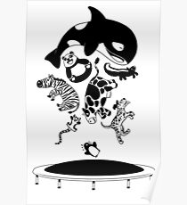 Bouncing Animals Poster