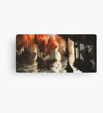 Autumn forests Canvas Print
