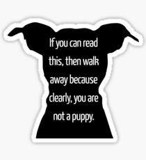 Funny Dog Design Sticker