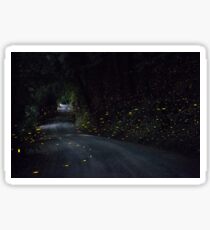 Firefly Road Sticker