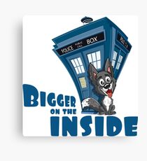 Bigger on the Inside (v1) Canvas Print