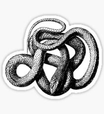 Slytherin Sticker