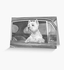 Monty Greeting Card
