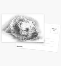 Snooze Time Postcards