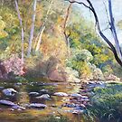 'The Howqua' by Lynda Robinson