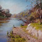 'Goulburn Track - Dysart' by Lynda Robinson