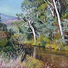 'Jamieson River' by Lynda Robinson