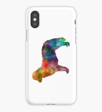Nova Scotia Duck Tolling Retriever in watercolor iPhone Case/Skin