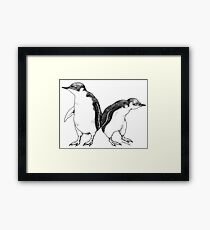 Little Blue Penguins - smallest penguin in the world! Framed Print