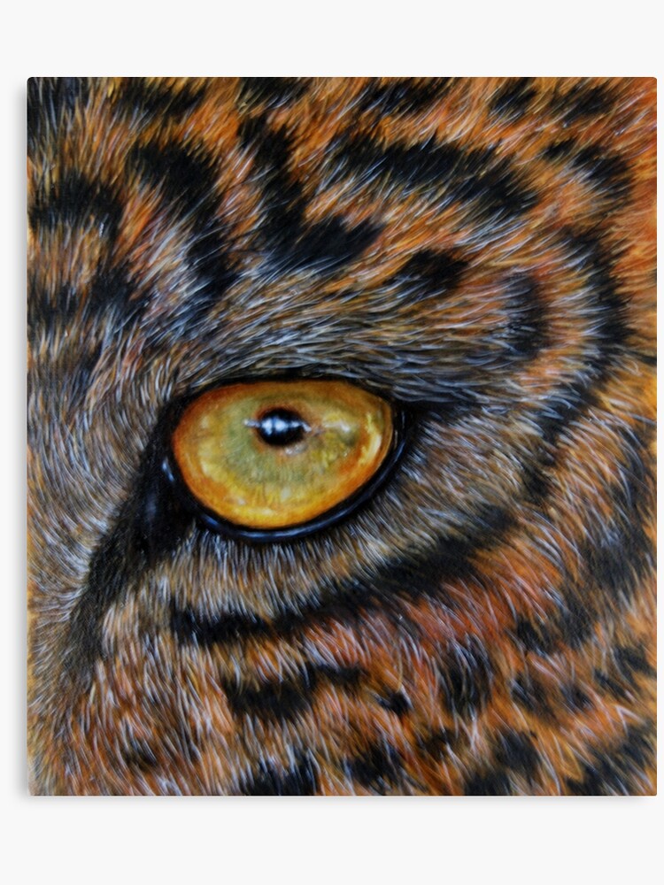 Eye Of The Leopard Oil Painting Canvas Print - 