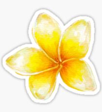 Plumeria Sticker