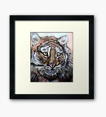 Fury Framed Print