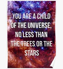 Desiderata Snippet Poster