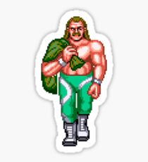 WRESTLEFEST SNAKE Sticker