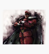 Lámina fotográfica M. Bison Master