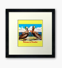 Pelican Paradise Framed Print