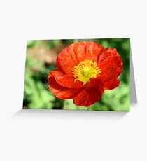 Eye Popping Greeting Card