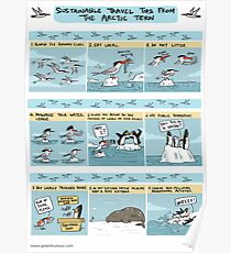 Sustainable Travel Tips from the Arctic Tern Poster