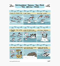 Sustainable Travel Tips from the Arctic Tern Photographic Print