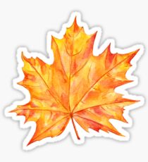 Orangenblatt Sticker