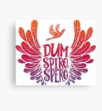 Dum Spiro Spero - While I breathe, I hope Canvas Print