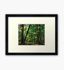 Hidden Places Framed Print