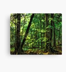 Hidden Places Canvas Print