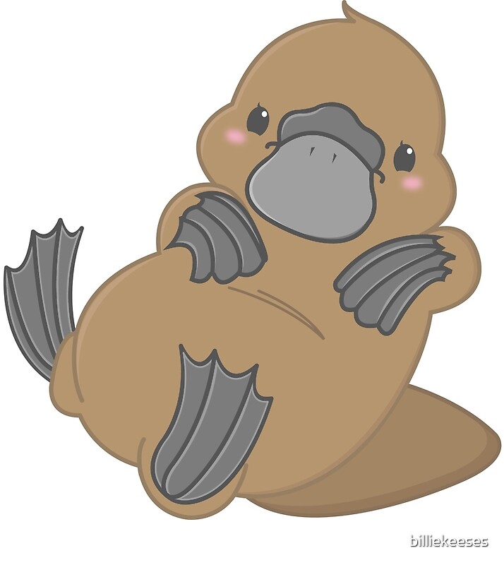 "Cute Kawaii Platypus" by billiekeeses | Redbubble