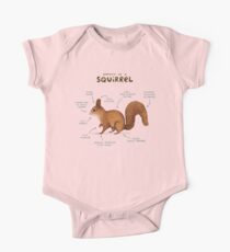 Anatomy of a Squirrel One Piece - Short Sleeve