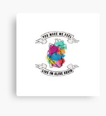 Adventure of a Lifetime Canvas Print