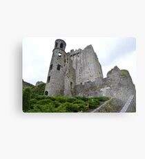 Blarney. Metal Print
