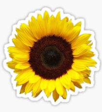 Sunflower Sticker