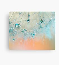 droplets of aqua Canvas Print