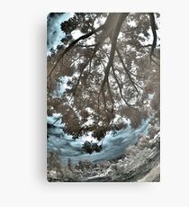 Overhang Metal Print