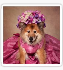 Shelter Pets Project - Precious Sticker