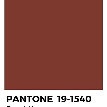 PANTONE Cerulean - Blue | Art Board Print